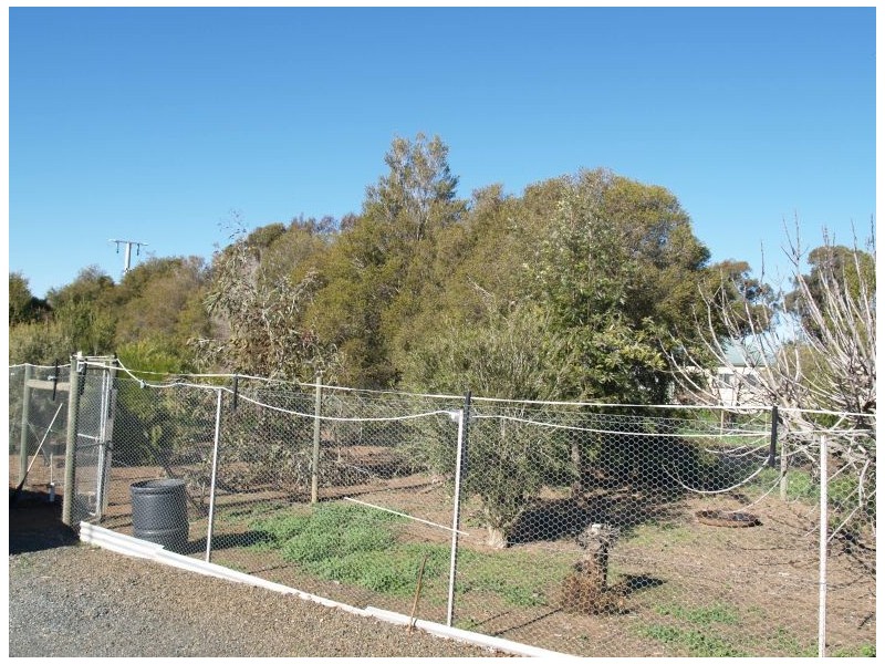 1513 Labuan Road, Tallygaroopna VIC 3634