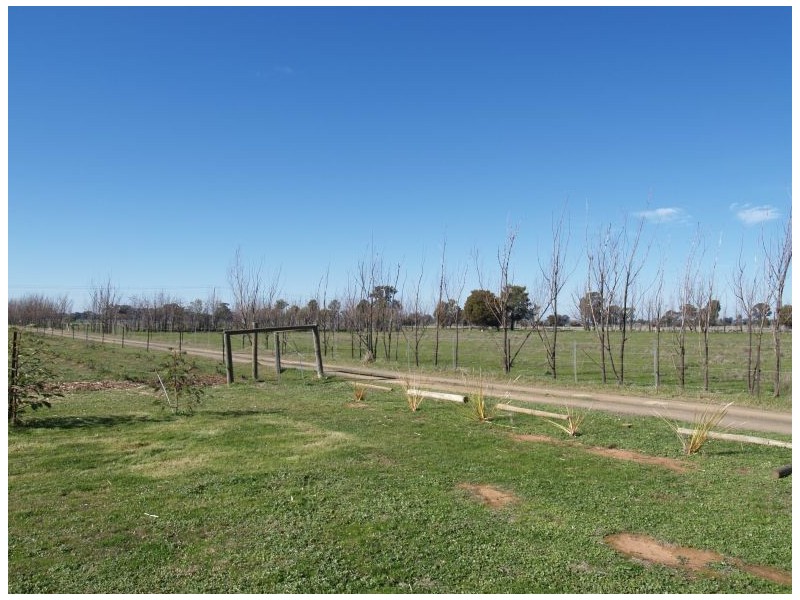 458 Kellys Road, Numurkah VIC 3636