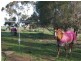 198 Pinnucks Road, Strathmerton VIC 3641