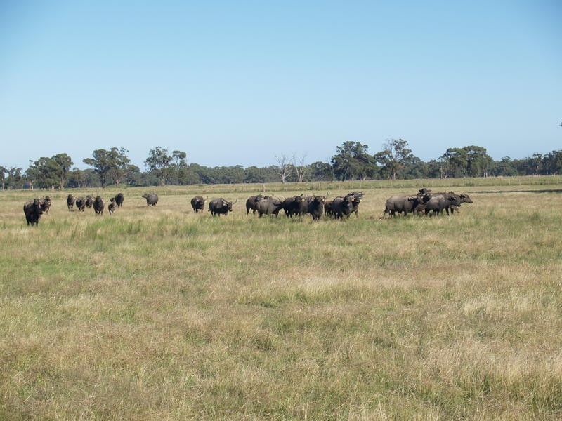 472 Gordons Road, Numurkah VIC 3636