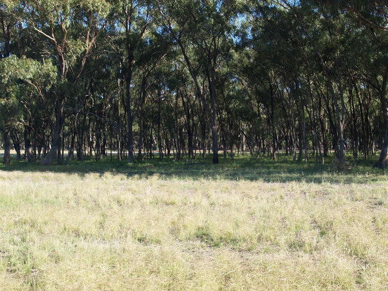 472 Gordons Road, Numurkah VIC 3636