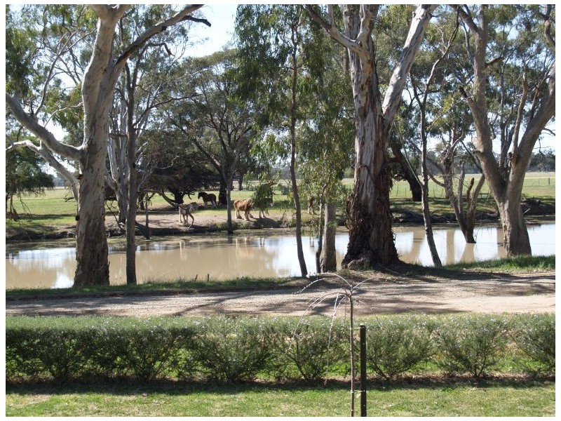 969 Hardings Road, Nathalia VIC 3638