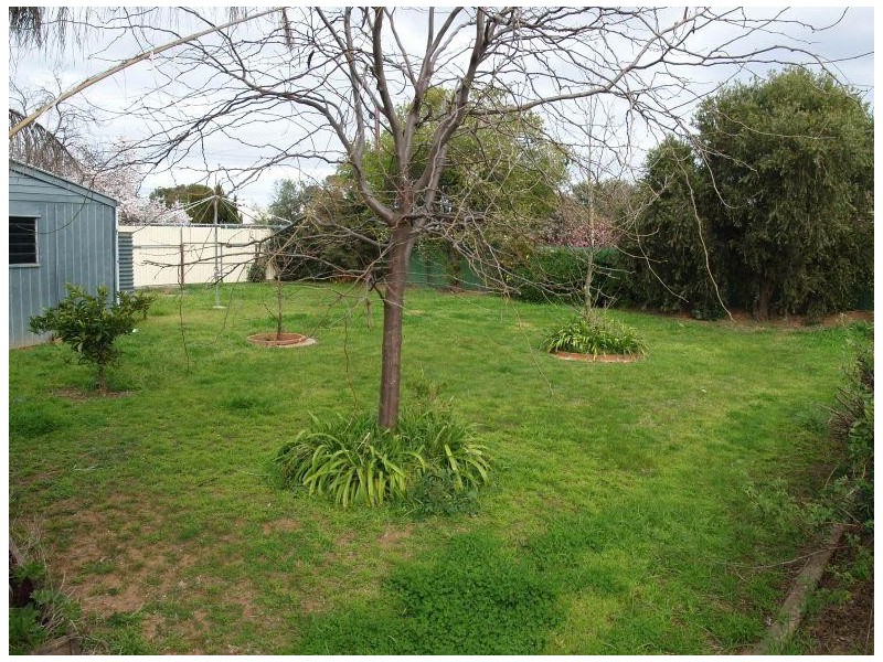 16 Nelson Street, Numurkah VIC 3636