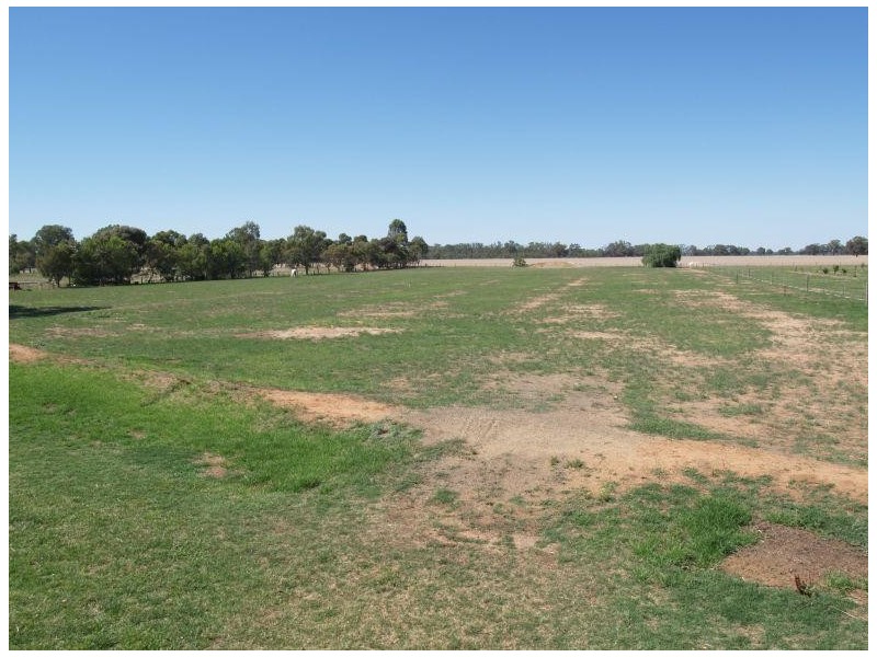 34 Katamatite Road, Numurkah VIC 3636