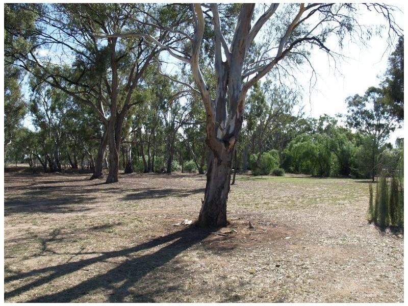 1-9 Welch Street, Wunghnu VIC 3635