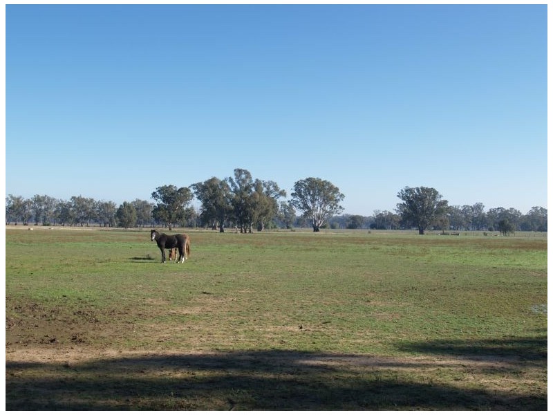53 Bearii-Mywee Road, Strathmerton VIC 3641