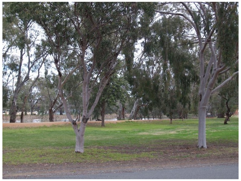 2 Quinn Street, Numurkah VIC 3636