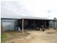 235 Sampsons Road, Numurkah VIC 3636