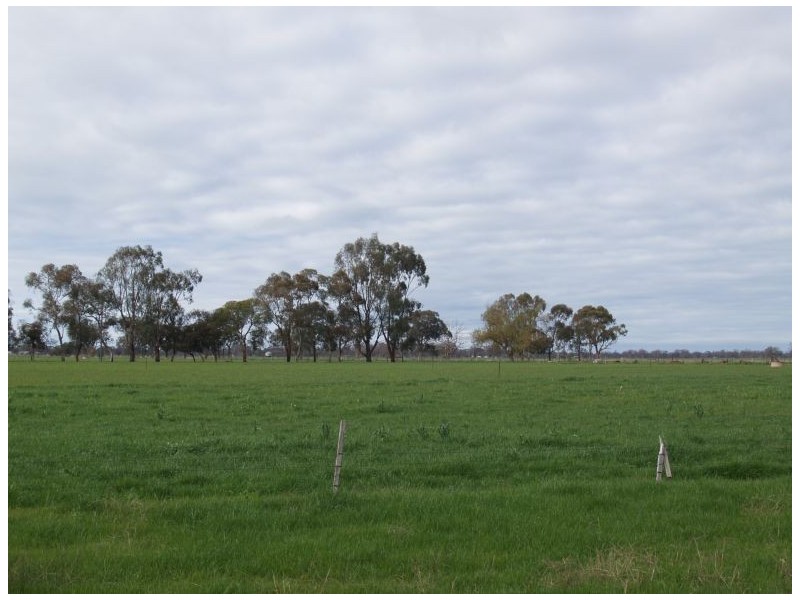 235 Sampsons Road, Numurkah VIC 3636