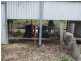 235 Sampsons Road, Numurkah VIC 3636