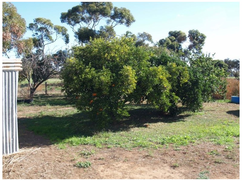 614 Centre Road, Nathalia VIC 3638