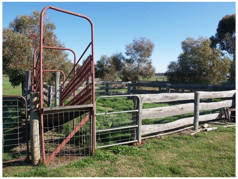 140 Berrys Road, Katunga VIC 3640