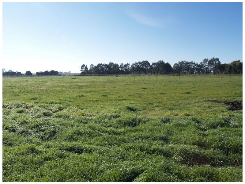 140 Berrys Road, Katunga VIC 3640