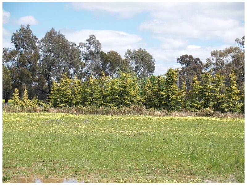 2547 Katamatite-Nathalia Road, Numurkah VIC 3636