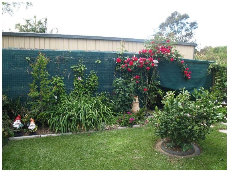 1A Holmes Court, Numurkah VIC 3636