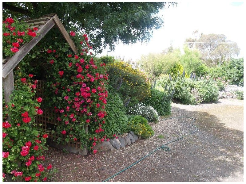 42 Carlisle Street, Wunghnu VIC 3635