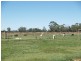 404 Shinnicks Road, Katunga VIC 3640