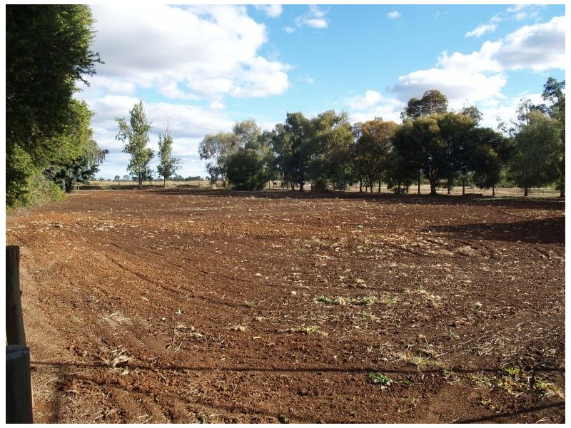 1300 Sandmount Road, Katunga VIC 3640