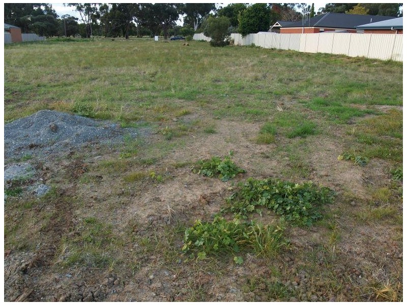 43 Rowe Street, Numurkah VIC 3636