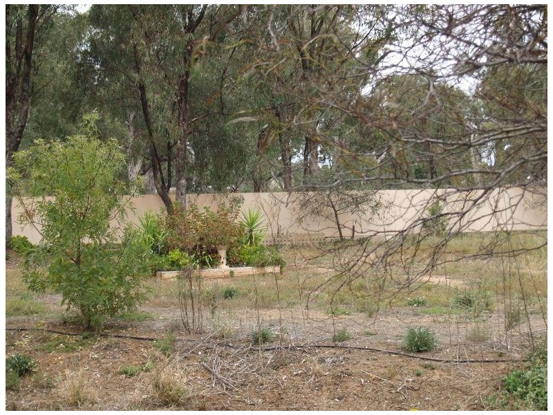 31 Taylor Street, Wunghnu VIC 3635