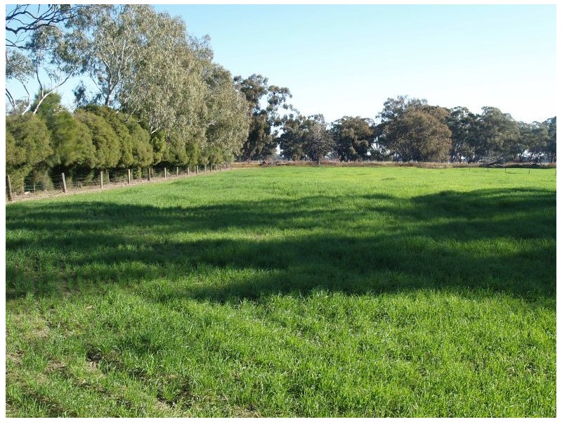 462 Gordons Road, Drumanure VIC 3636