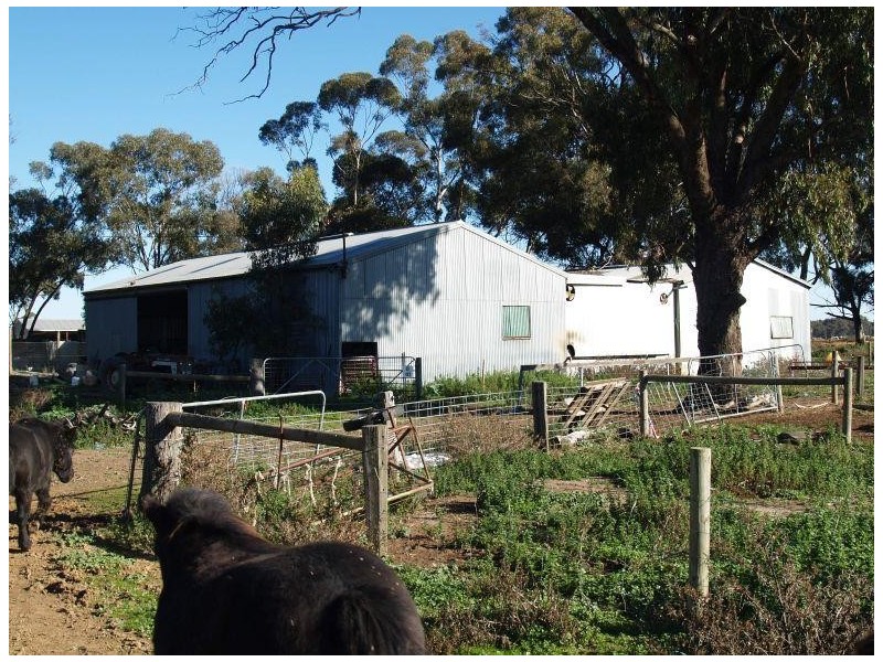 462 Gordons Road, Numurkah VIC 3636