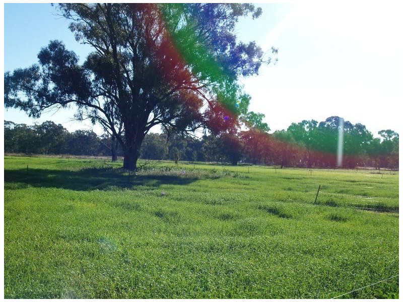 462 Gordons Road, Numurkah VIC 3636