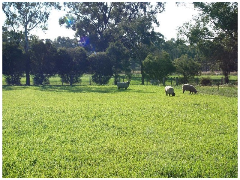 462 Gordons Road, Numurkah VIC 3636