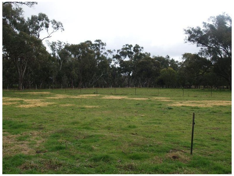 475 Kempsters Bridge Road, Kaarimba VIC 3635