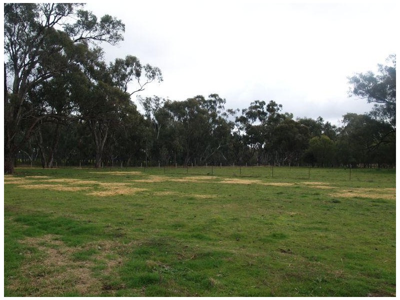 475 Kempsters Bridge Road, Kaarimba VIC 3635