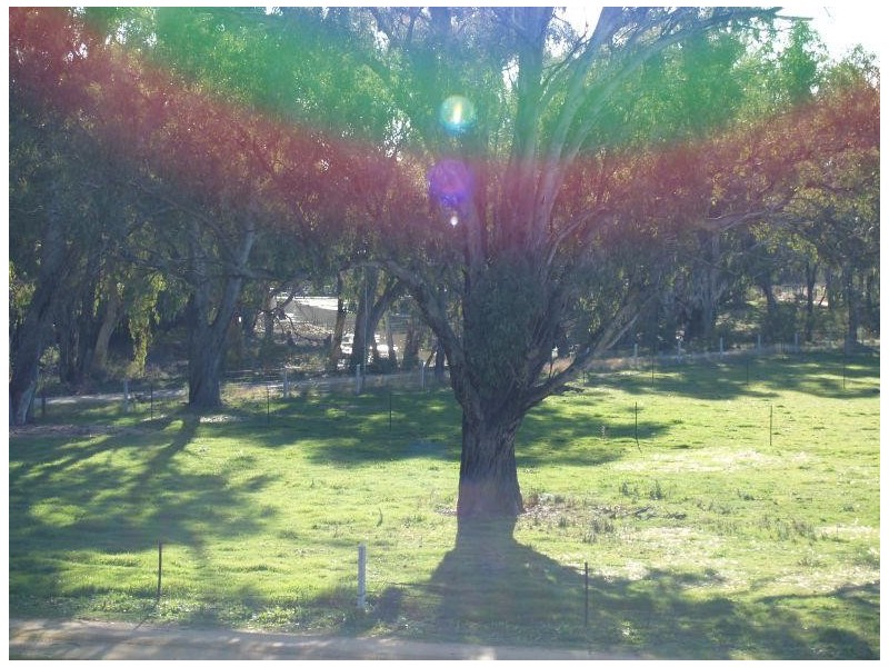 475 Kempsters Bridge Road, Kaarimba VIC 3635