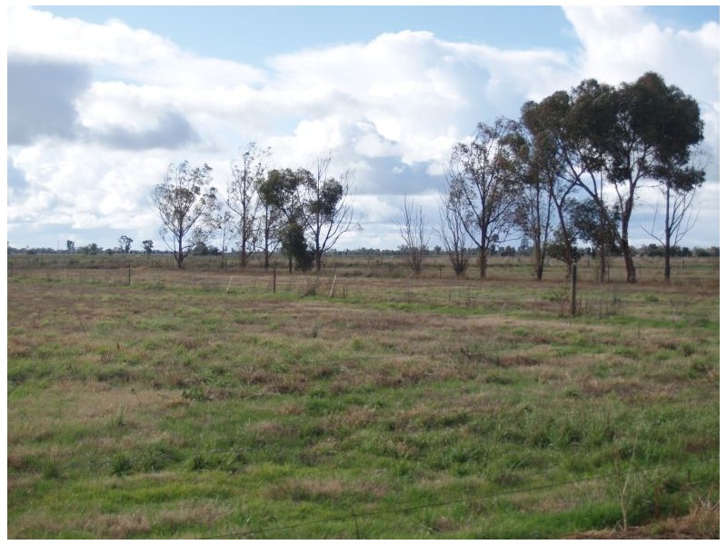 88 Waaia – Bearii Road, Waaia VIC 3637