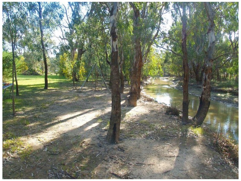 20 Walters Street, Wunghnu VIC 3635