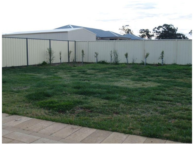 31 Madeline Street, Numurkah VIC 3636