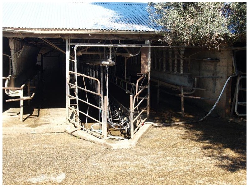 1276 Centre Road, Numurkah VIC 3636