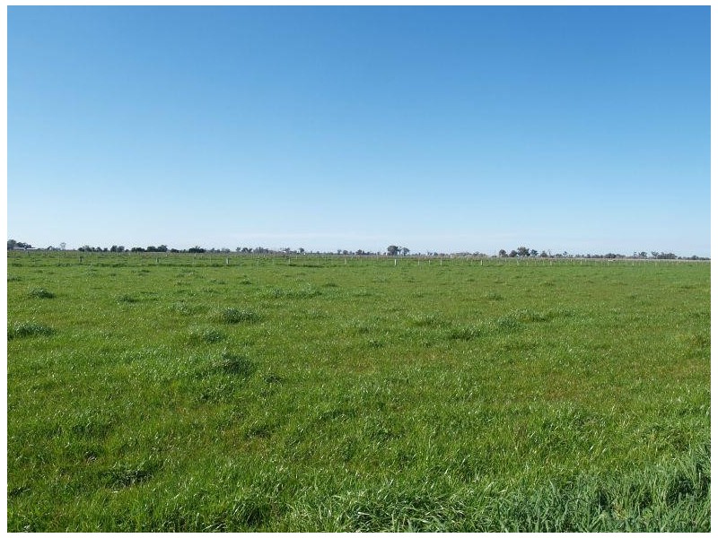 1276 Centre Road, Numurkah VIC 3636