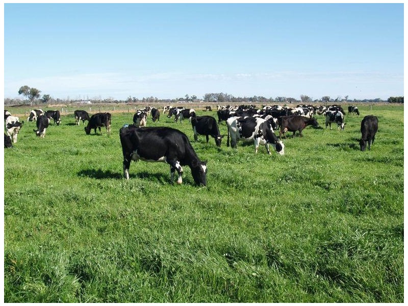 1276 Centre Road, Numurkah VIC 3636