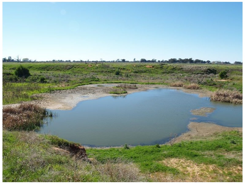 1014 Nathalia-Waaia Road, Waaia VIC 3637