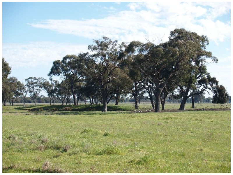 1014 Nathalia-Waaia Road, Waaia VIC 3637