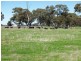1014 Nathalia-Waaia Road, Waaia VIC 3637