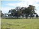 1014 Nathalia-Waaia Road, Waaia VIC 3637
