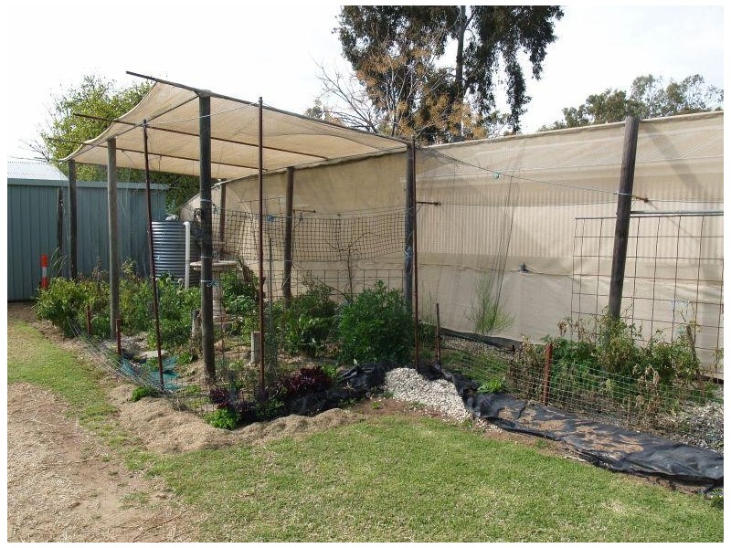24 Gray Street, Numurkah VIC 3636