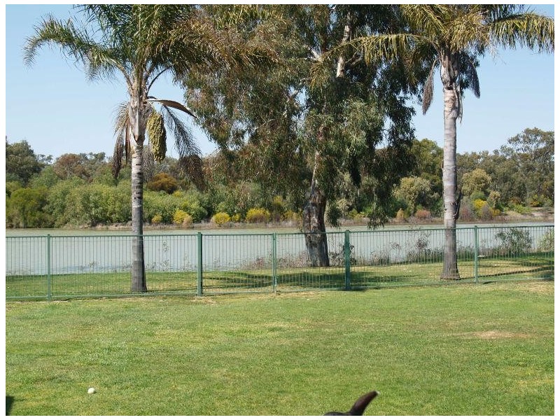 3 Reynolds Drive, Numurkah VIC 3636