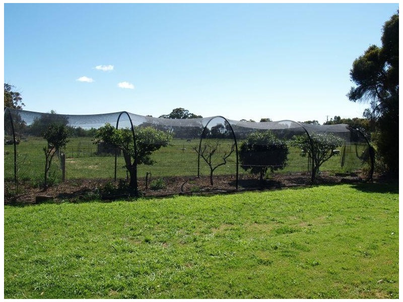 16 Allans Road, Numurkah VIC 3636