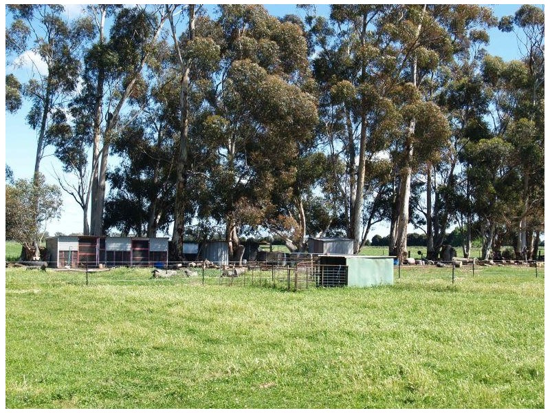 16 Allans Road, Numurkah VIC 3636