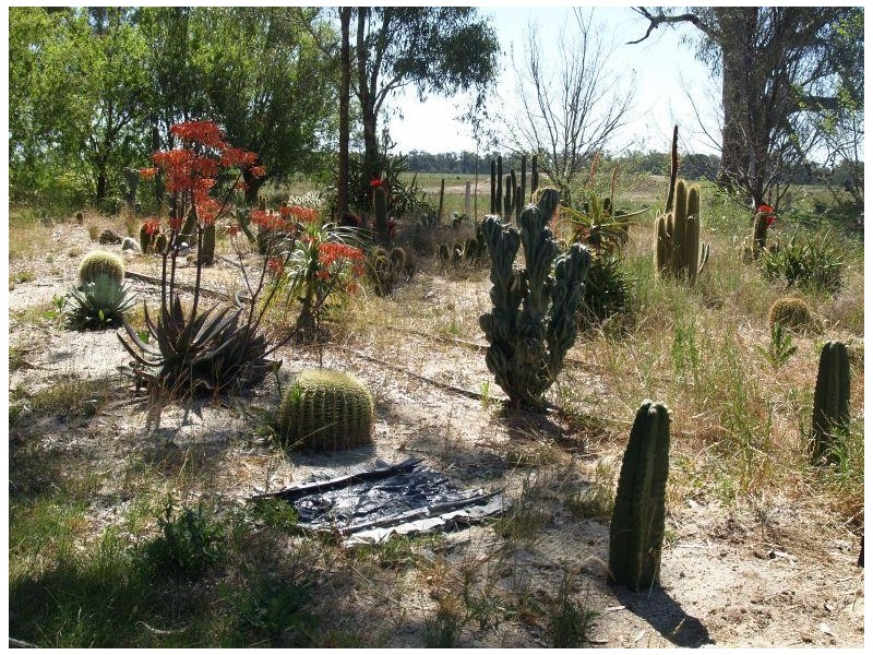 478 Williams Road, Strathmerton VIC 3641