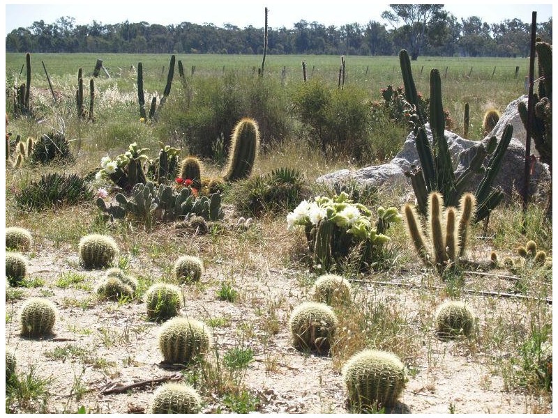 478 Williams Road, Strathmerton VIC 3641