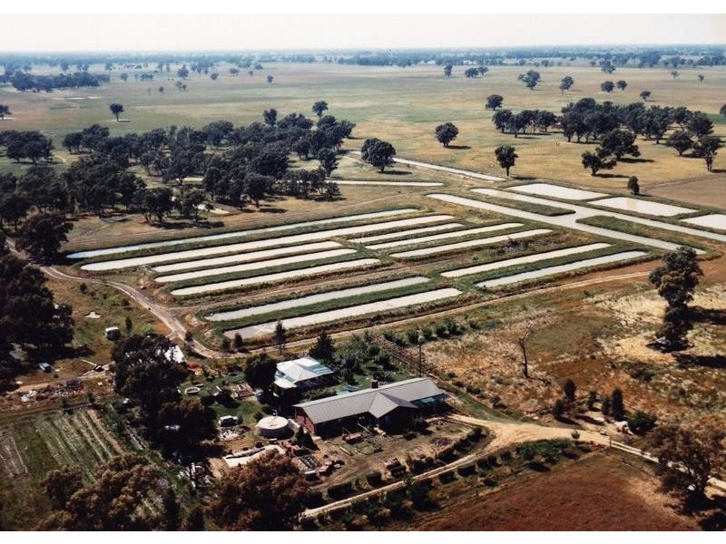 478 Williams Road, Strathmerton VIC 3641