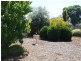 92 Pearce Street, Nathalia VIC 3638