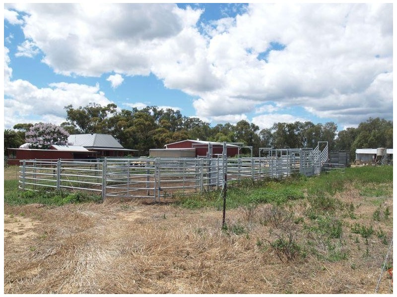 17 Irrigation Road, Numurkah VIC 3636